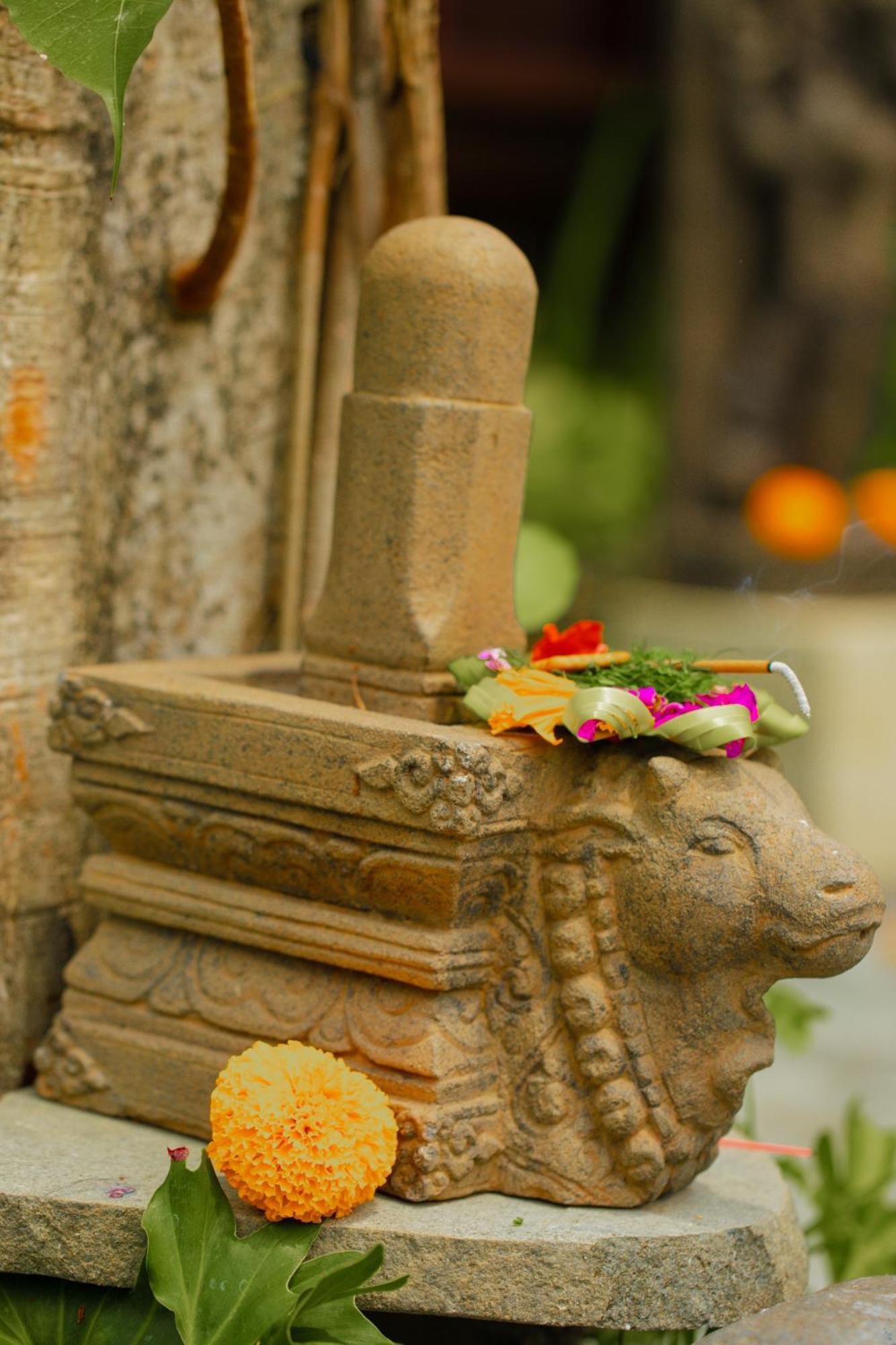 Adi Laxmi Villa Ubud Exteriér fotografie
