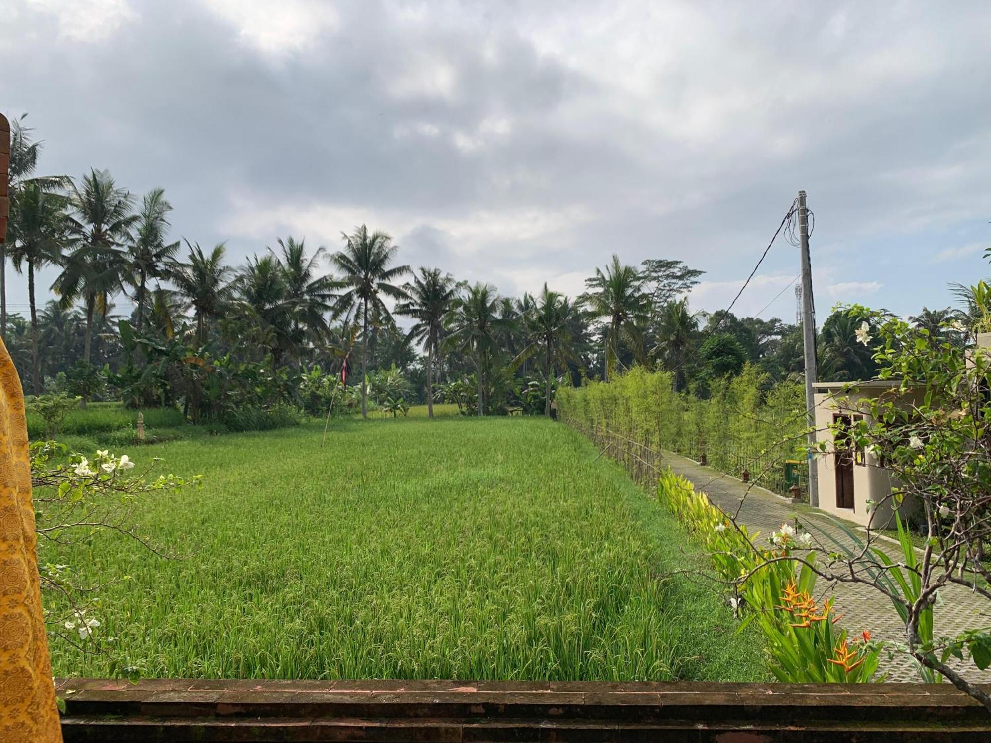 Adi Laxmi Villa Ubud Exteriér fotografie